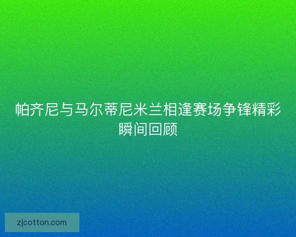 帕齐尼与马尔蒂尼米兰相逢赛场争锋精彩瞬间回顾